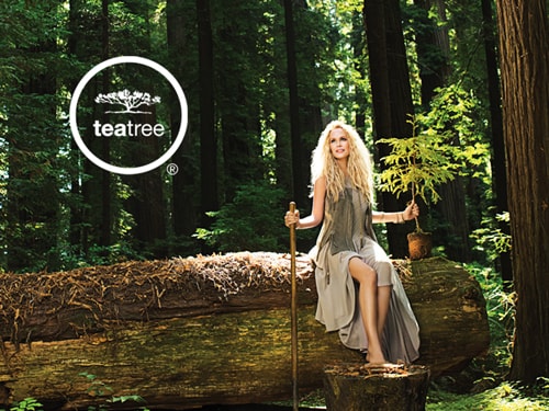 TEA TREE - Kraft der Natur